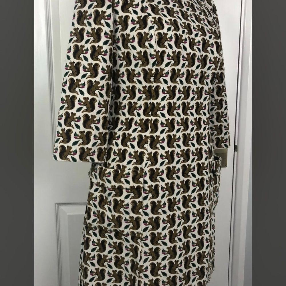 ISO Boden squirrel print dress size 16’or 18 US